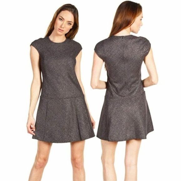 Theory Metallic Gray Drop Waist Cap Sleeves Mini Dress with pockets size 2 - Picture 1 of 10